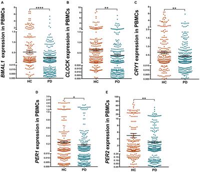 Peripheral Clock System Abnormalities in Patients With Parkinson’s Disease